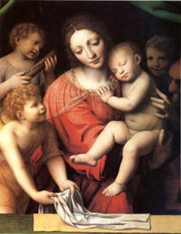 Bernadino Luini The Virgin Carrying the Sleeping Child with Three Angels (mk05) Spain oil painting art